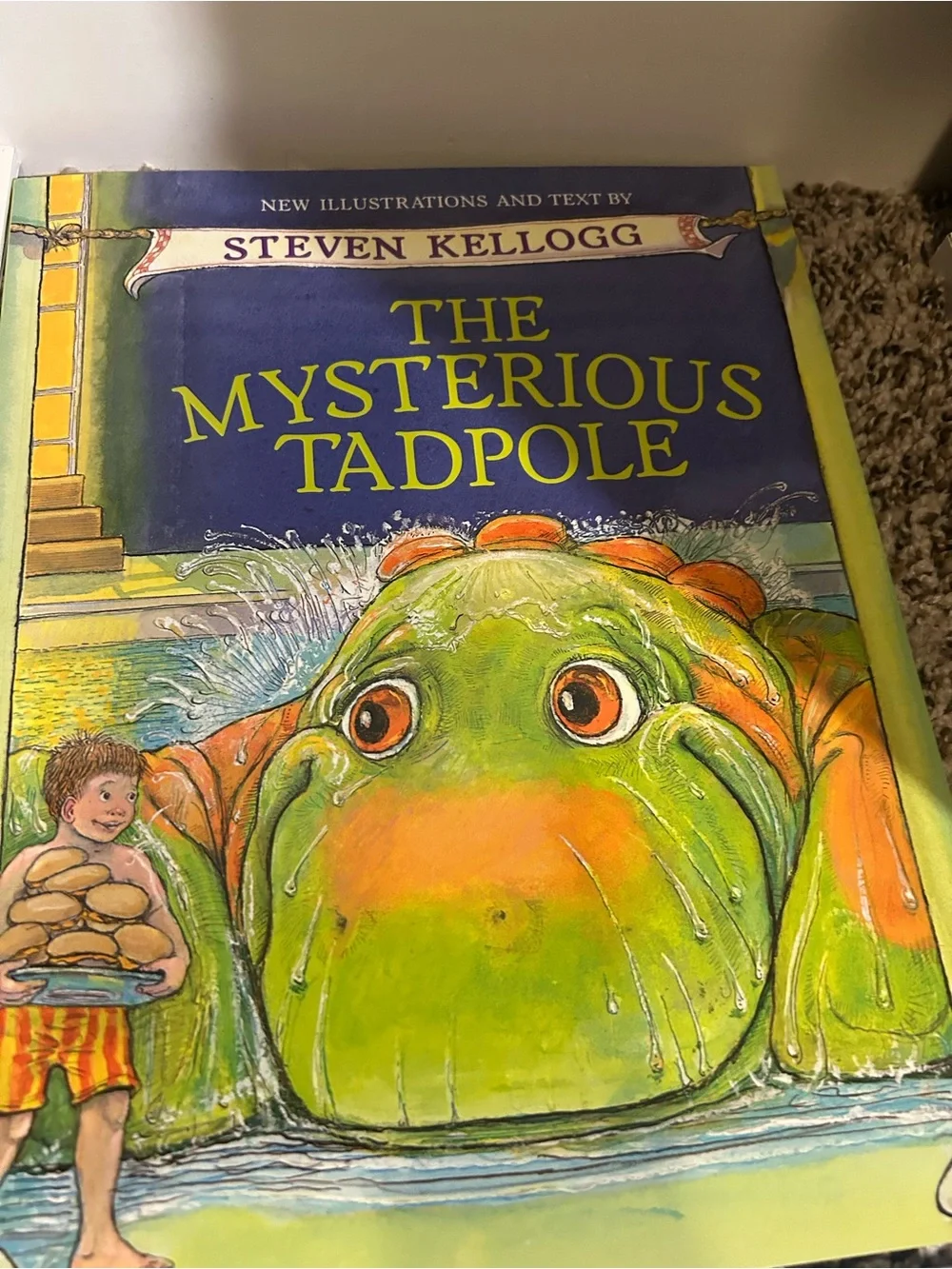 Children's Picture Book Bundle of 9 Books